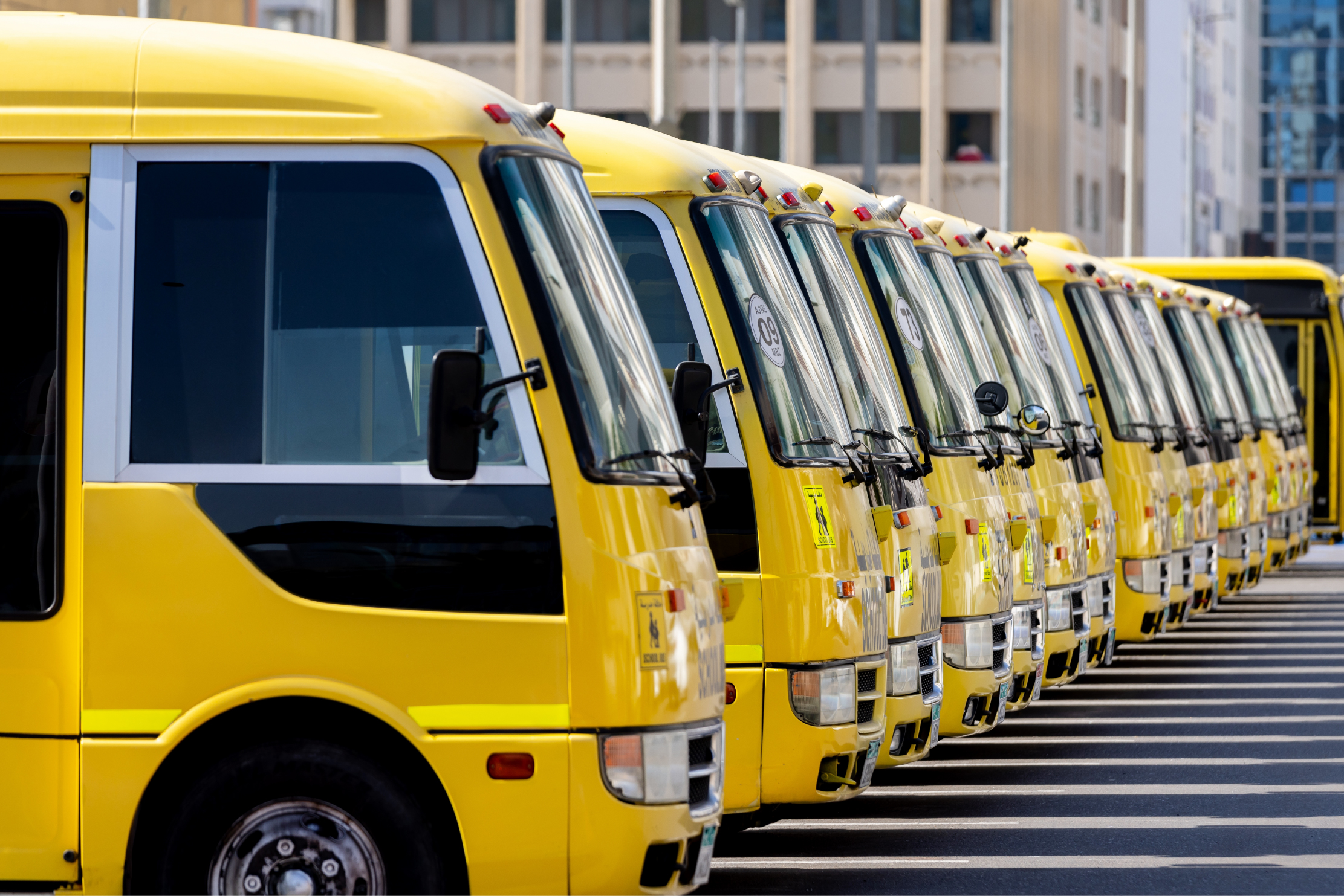 Buses