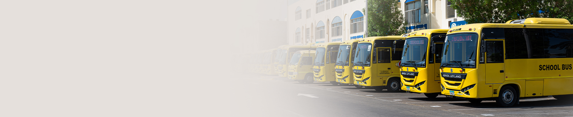 buses copy