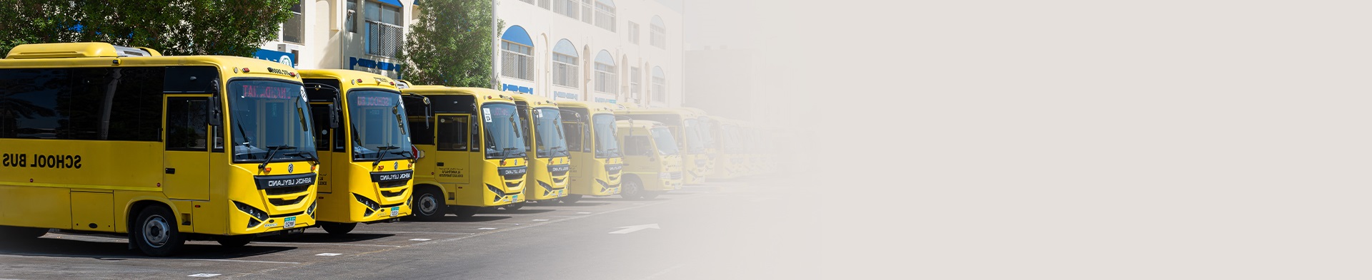 buses copy